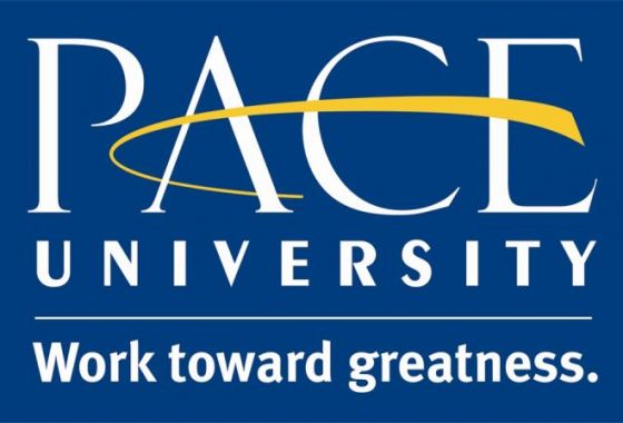 Thạc sĩ TESOL của Pace University
